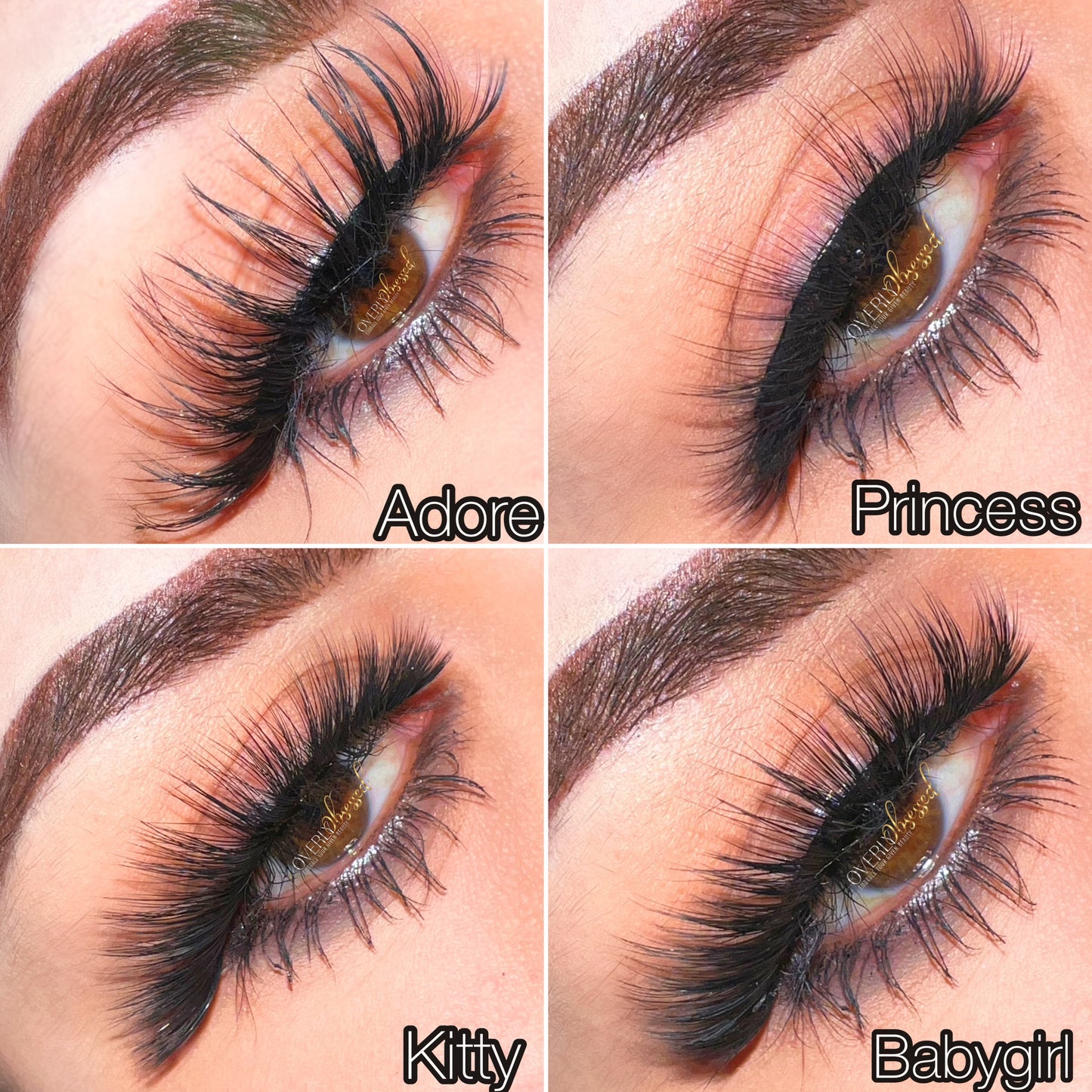 Lash Haven
