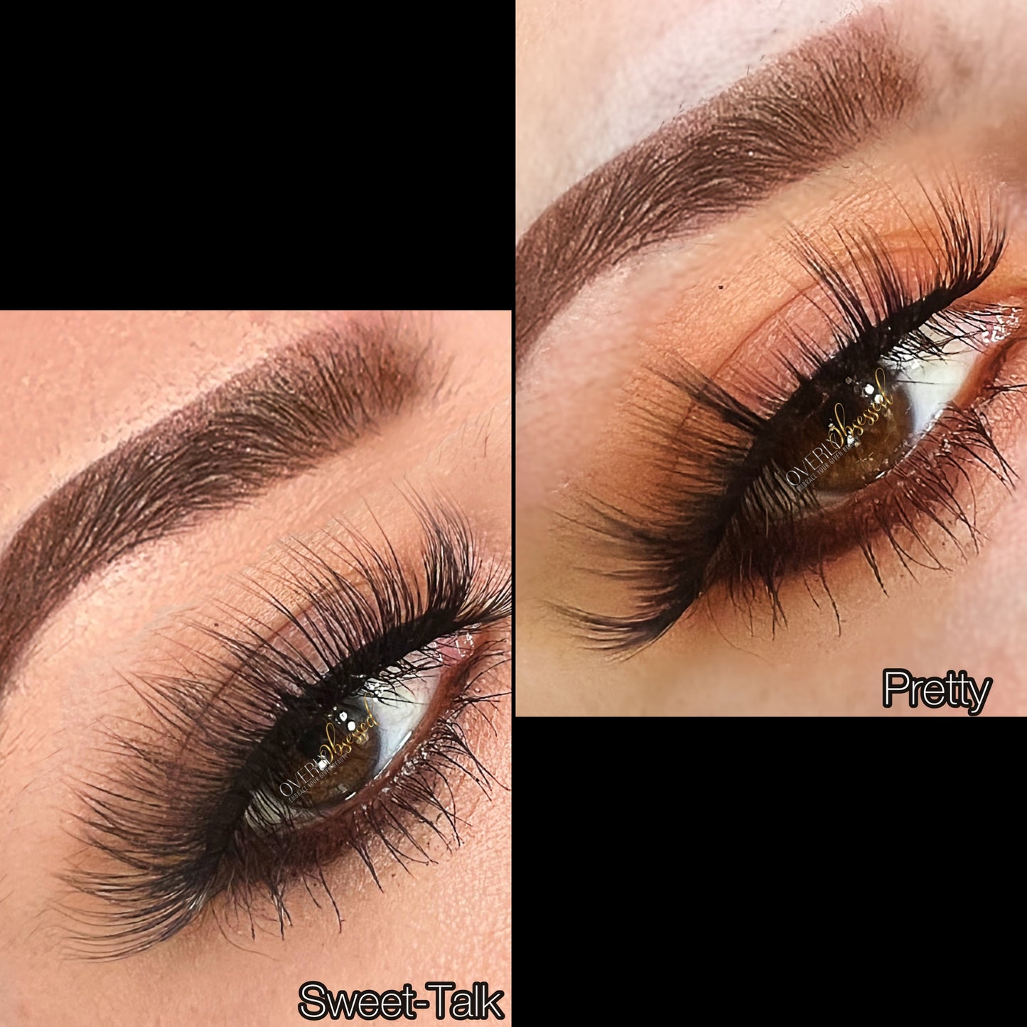 Lash Haven
